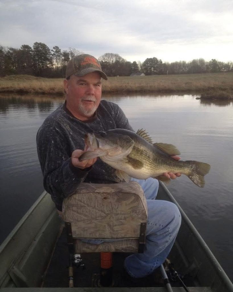 Michael Wayne Taylor Profile Photo
