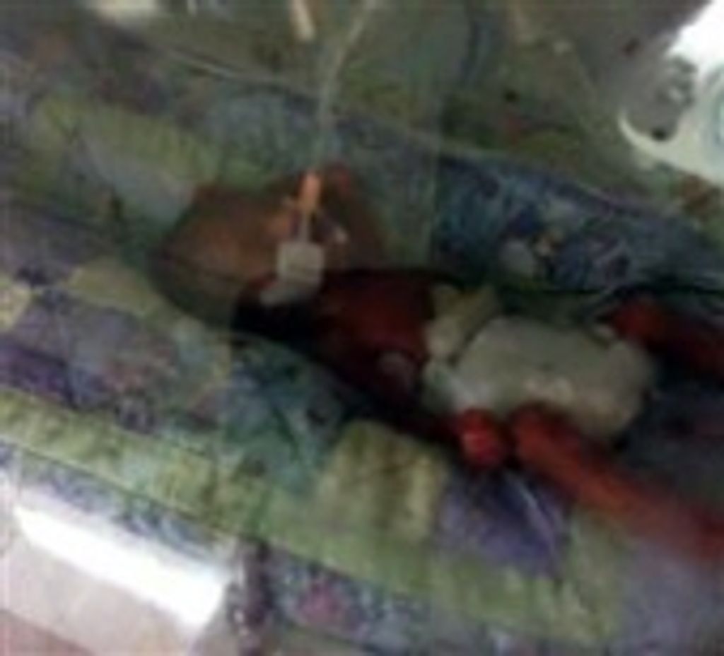 Everly Alissabeth Demary