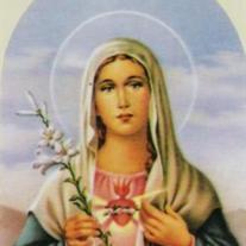 Ms Maria I. Lopez Profile Photo