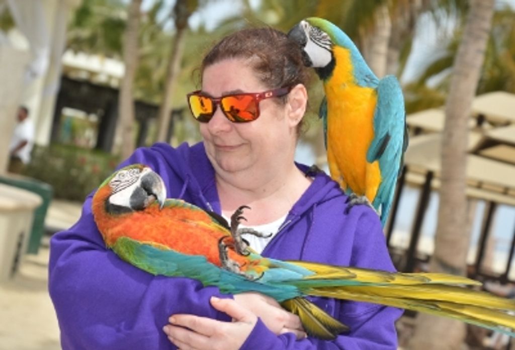 Patricia L. Cutsforth