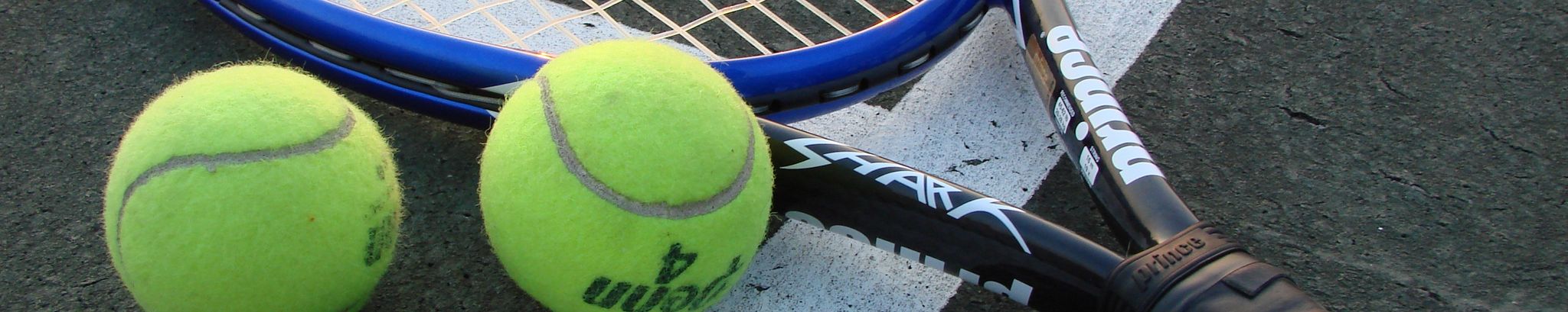 Cover for Judy Marie Thomas's Obituary