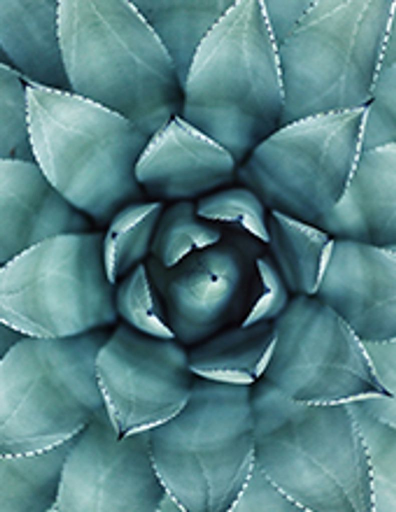 Eva Louise Doughty Profile Photo