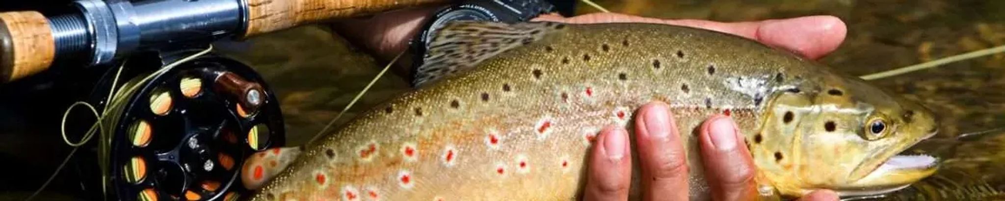 Cover for James Morrison LeBlond Sr.'s Obituary