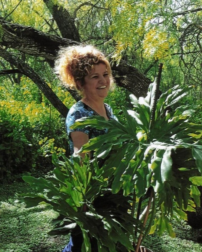 Norma Linda Villarreal Profile Photo