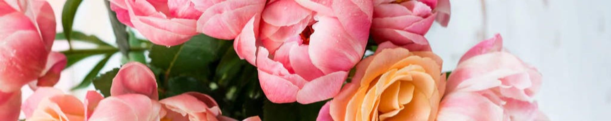 Cover photo for Deborah Lee Elledge's Obituary