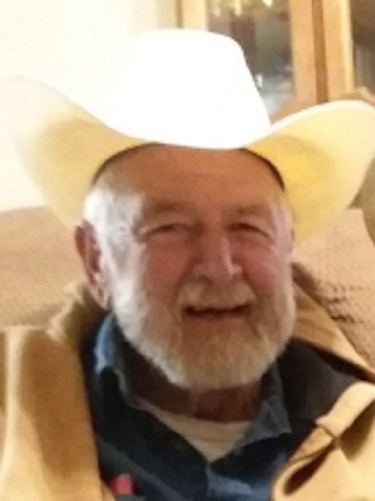 Paul G. Tesarek