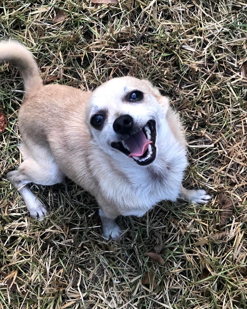 Thor Profile Photo