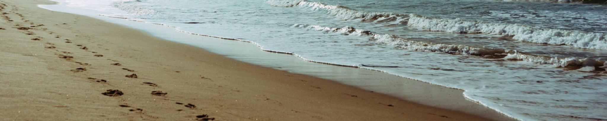 Cover photo for Susan (Shu-Shan) Shih's Obituary