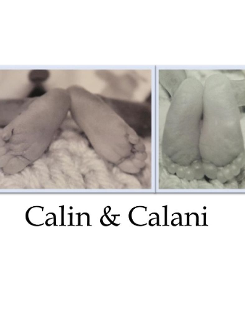 Baby Boys Calin & Calani Houston (Lansing)