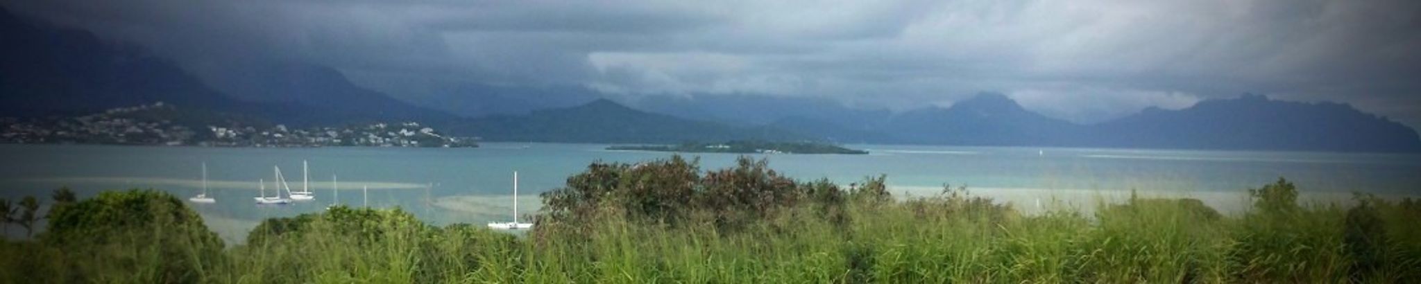 Cover photo for William Thomas Kaleoalohaokalani Silva's Obituary