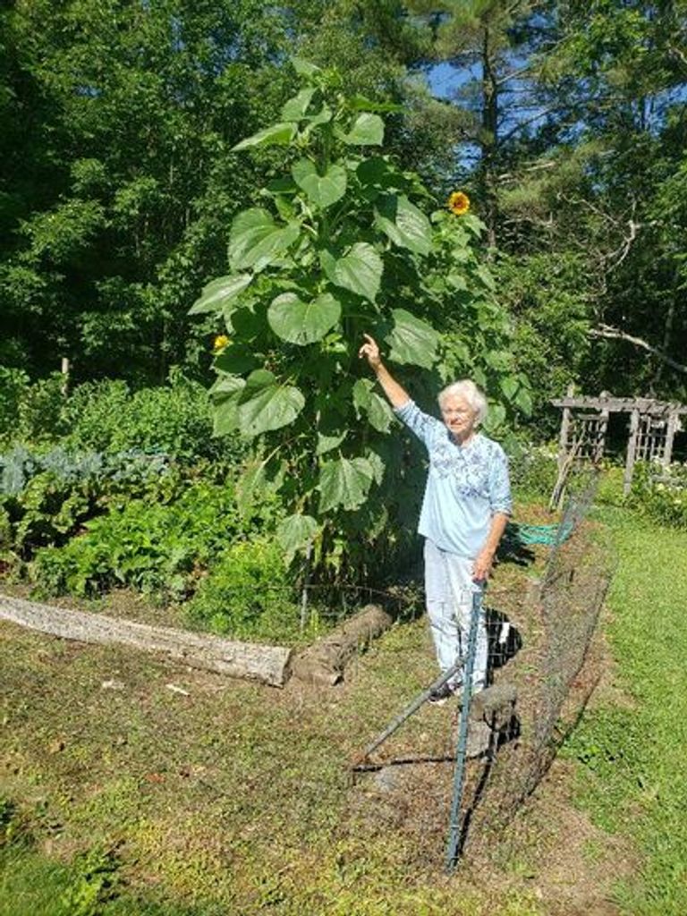 Eileen Ward Profile Photo