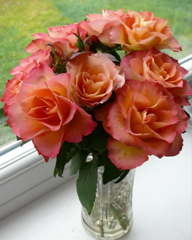 Joanne L. Nyman Bresette