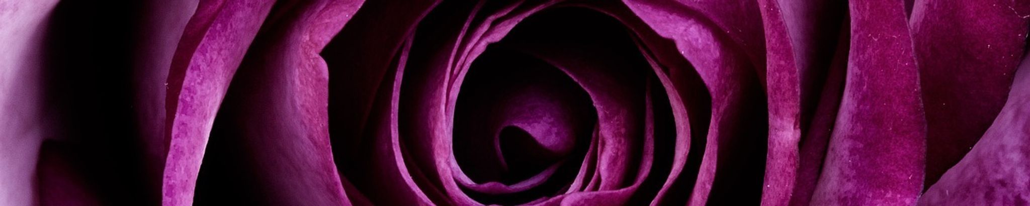 Cover for Angelea Sharpton's Obituary