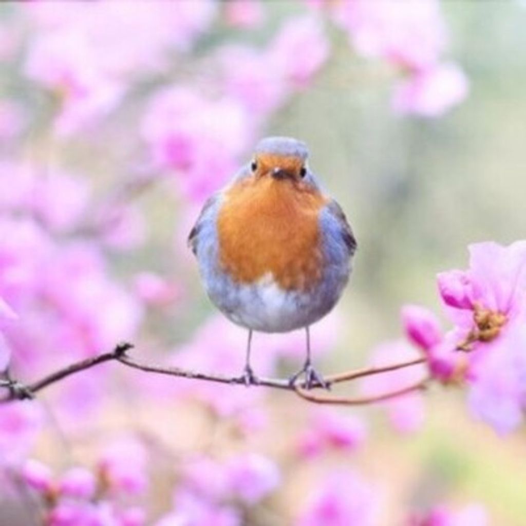 Kelley Suzanne Maresca