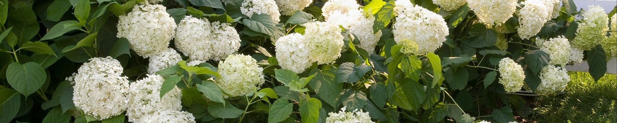 Cover photo for Edna Bryant Estes's Obituary