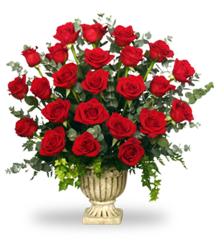 Surena Berford Profile Photo