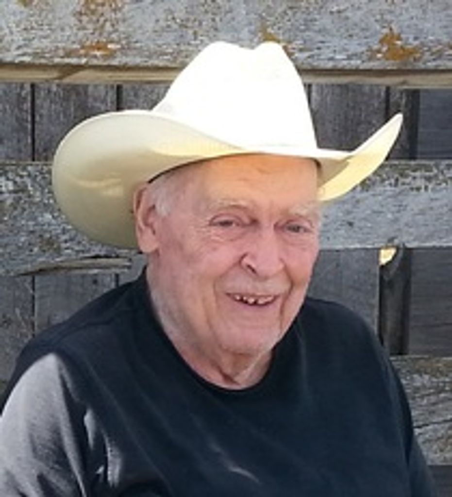 Hal Fitzgerald