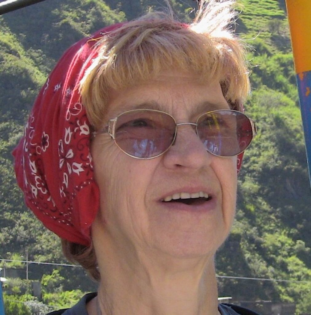 Sally Ann (Williams)  Hillman Profile Photo