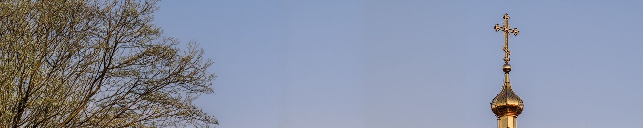 Cover for Gwendolyn Chico's Obituary