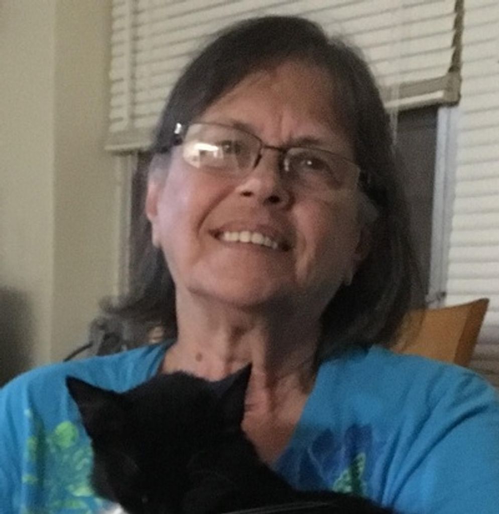 June O'Halloran Profile Photo