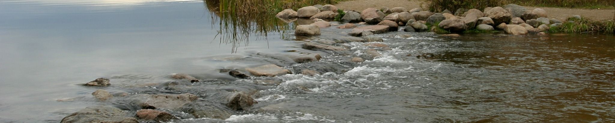 Cover for Diane Skelley's Obituary