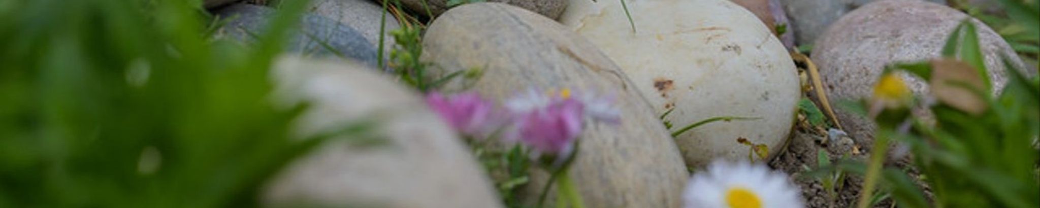 Cover photo for Ana Greta Eleonor Grundel's Obituary
