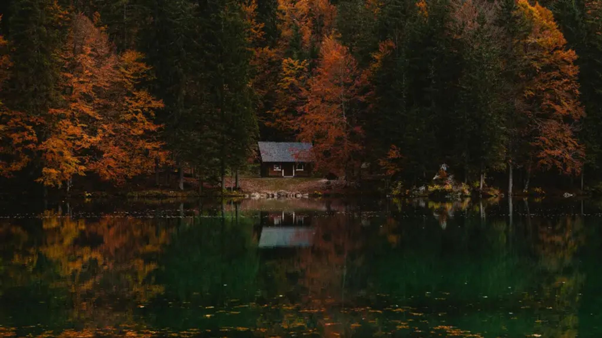 Cover for Darrell Charles Ball's Obituary