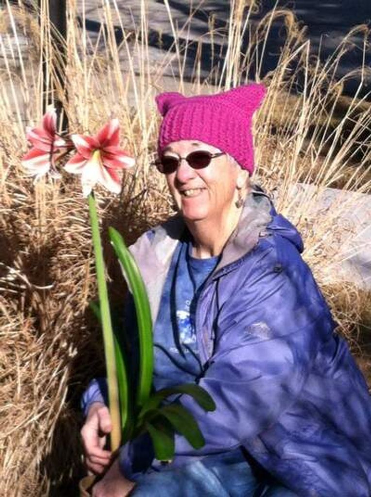 Barbara L. Mcdonough Profile Photo
