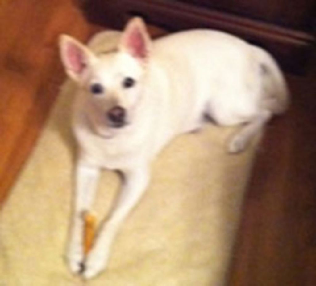 Lexy Faithful Friend Profile Photo