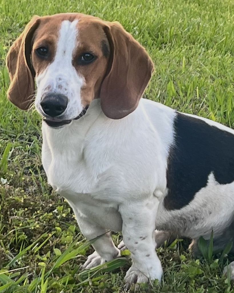 Frank Morphis Profile Photo