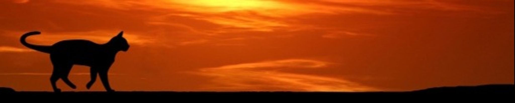 Cover for Robi Golden's Obituary