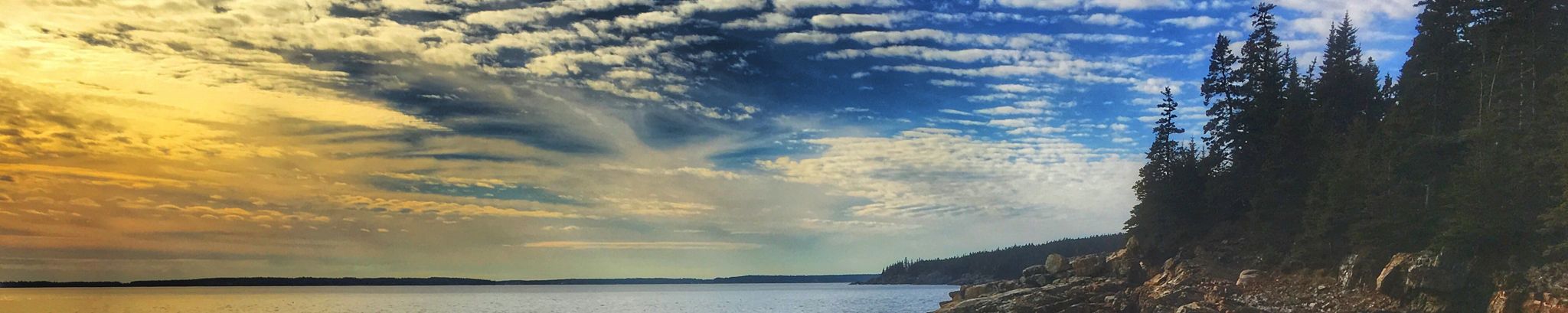 Cover for Pauline M. Buszkiewicz's Obituary