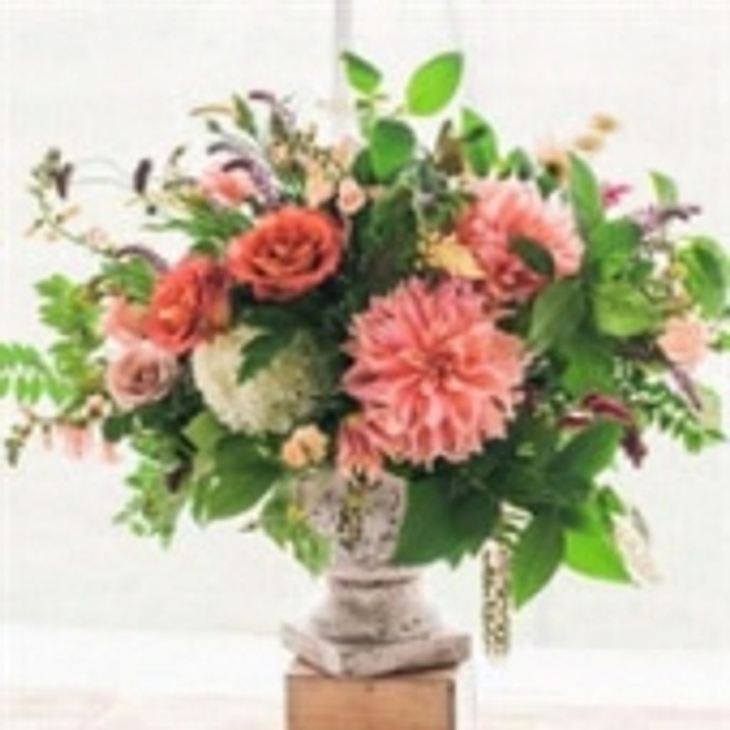 Joan Elizabeth Branch