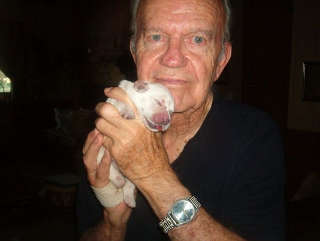 Jack Douglas Macarthur Brooks