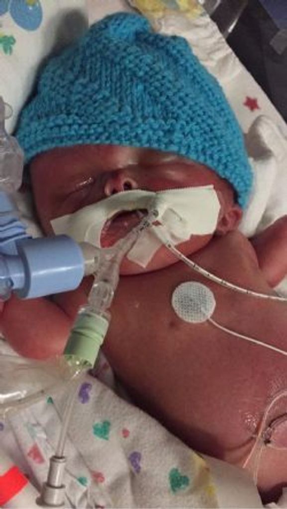 Jaxon  Mccoy Lechner