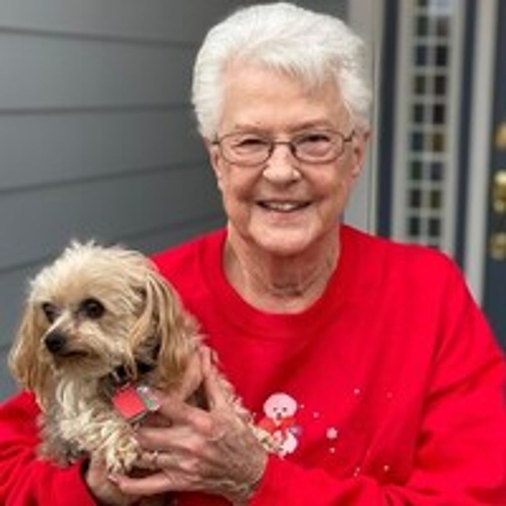 Shirley Ann Flint Orr