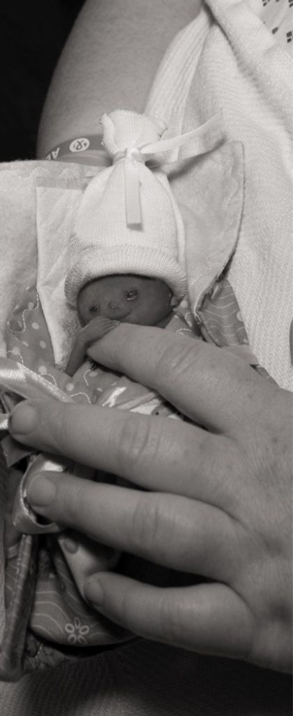 Theo David Waltman-Seale Profile Photo