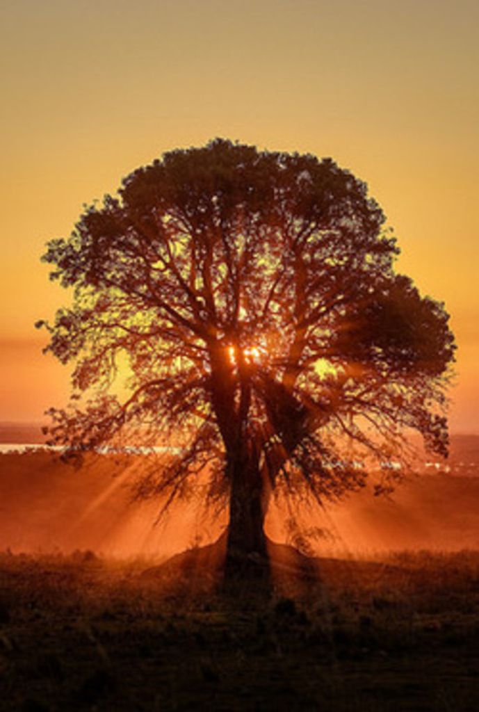 Robert F. Collins Profile Photo