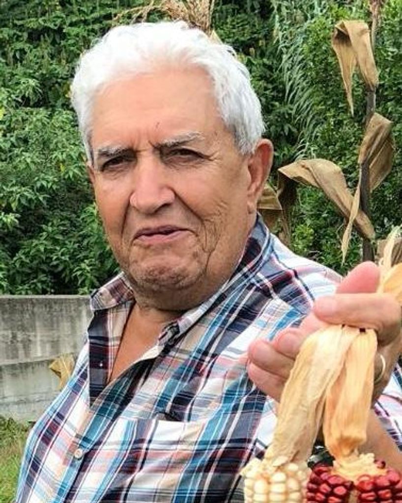 Jose Furtado Amaral Profile Photo