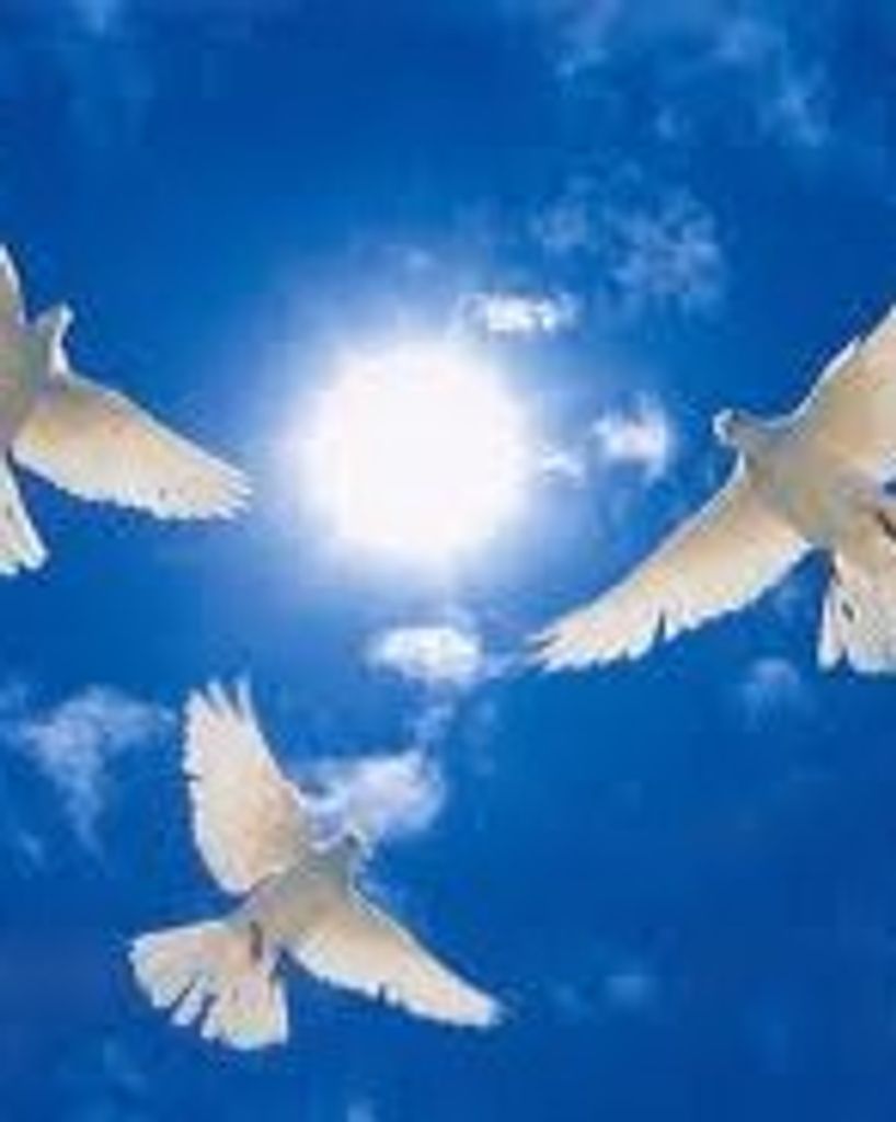 Tammy Marie Richardson "46" Profile Photo