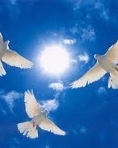 Tammy Marie Richardson 