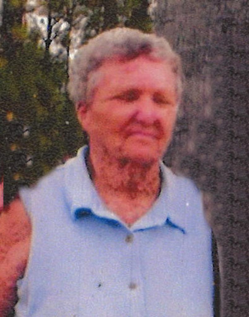 Judy Carol Lanning Daniels