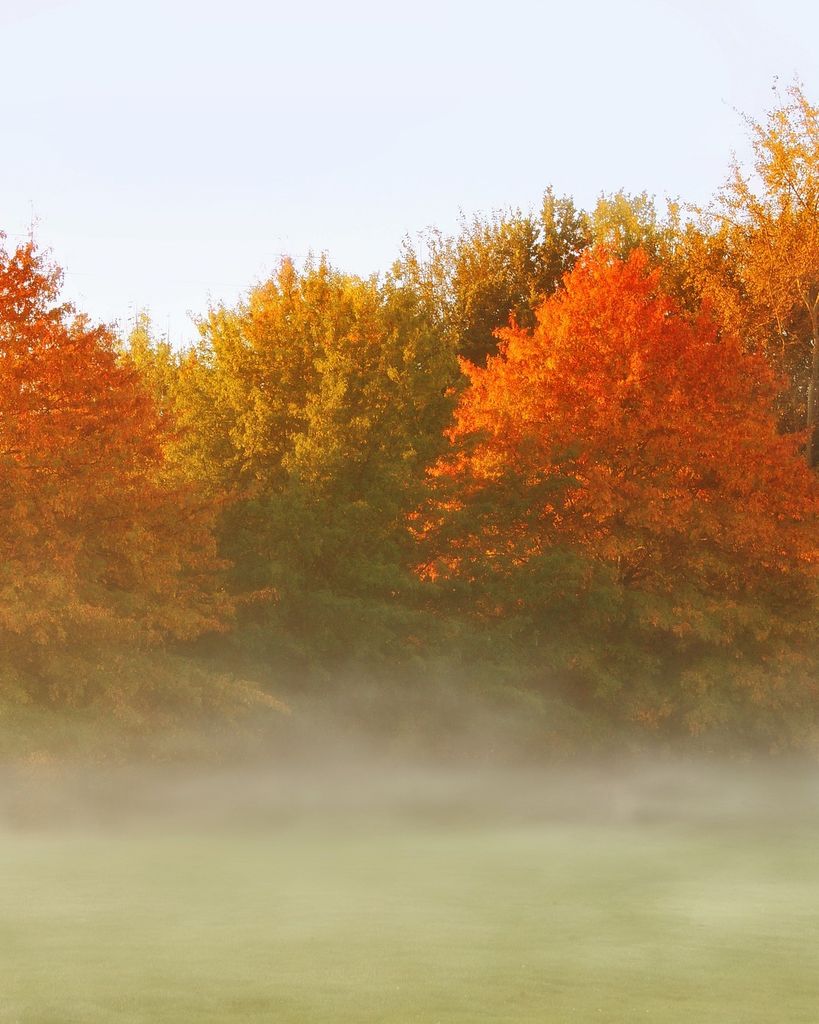 Robert Lee Tappen Jr.