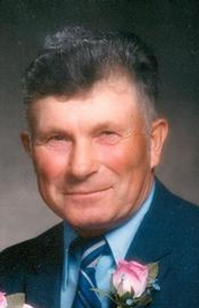 Harold A. Schraufnagel Profile Photo