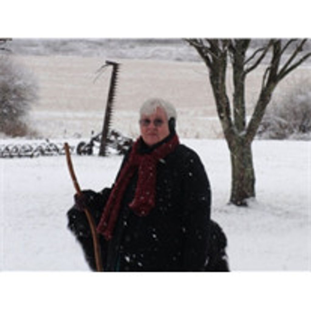 Bonnie A. Goodrich