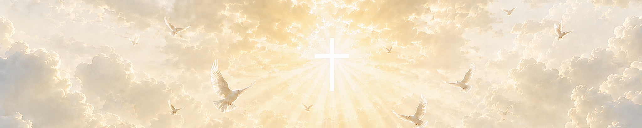 Cover for Andrea Lynn Holliday's Obituary