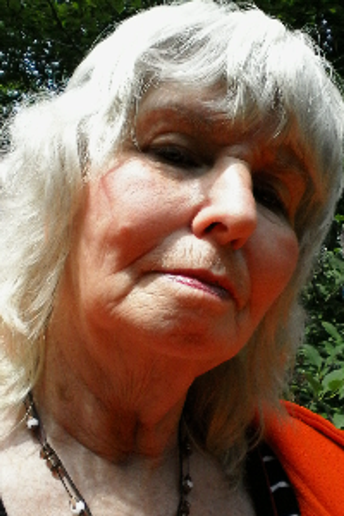 Joan  Marie (Somers)  Martin