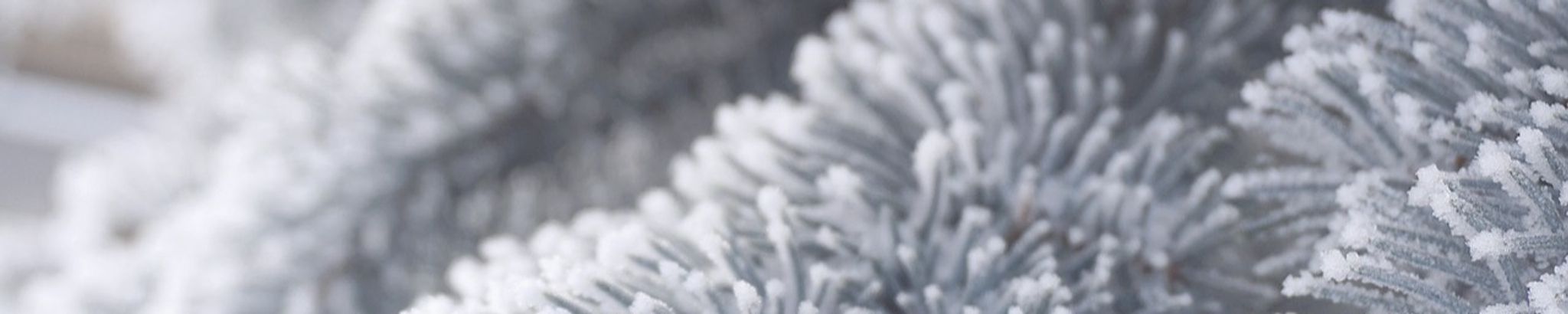 Cover photo for Suzann Call's Obituary