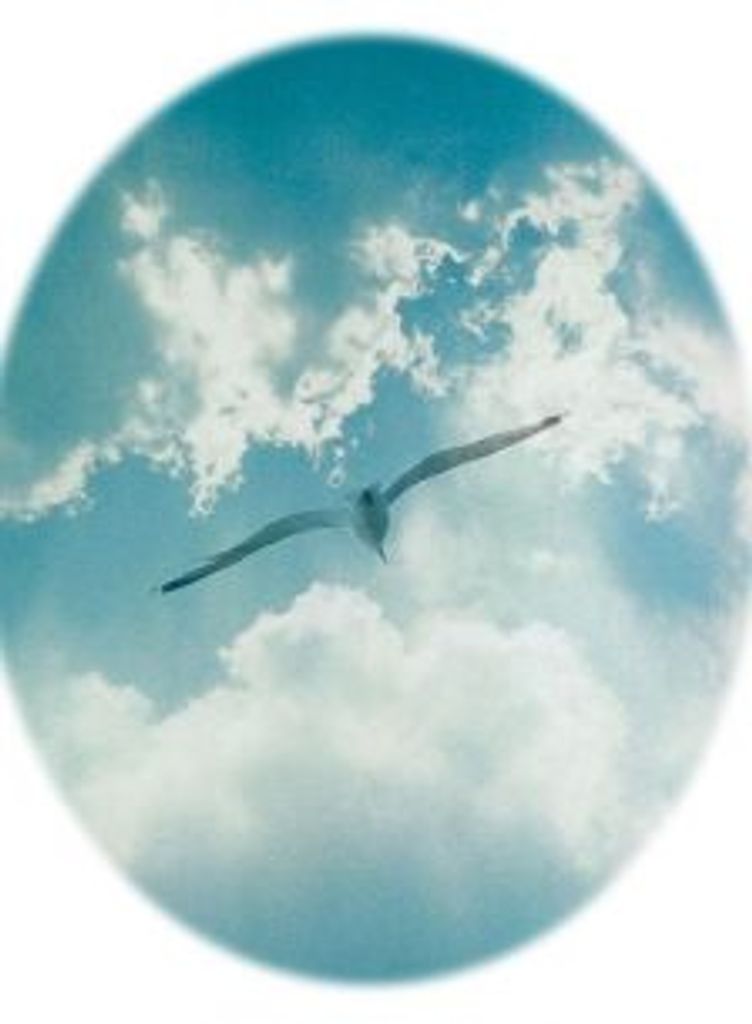 Tony Lee Howell Profile Photo