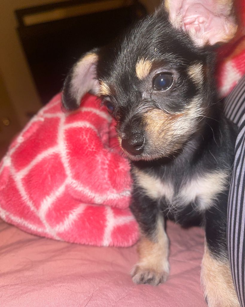 Bruno 🖤 Profile Photo
